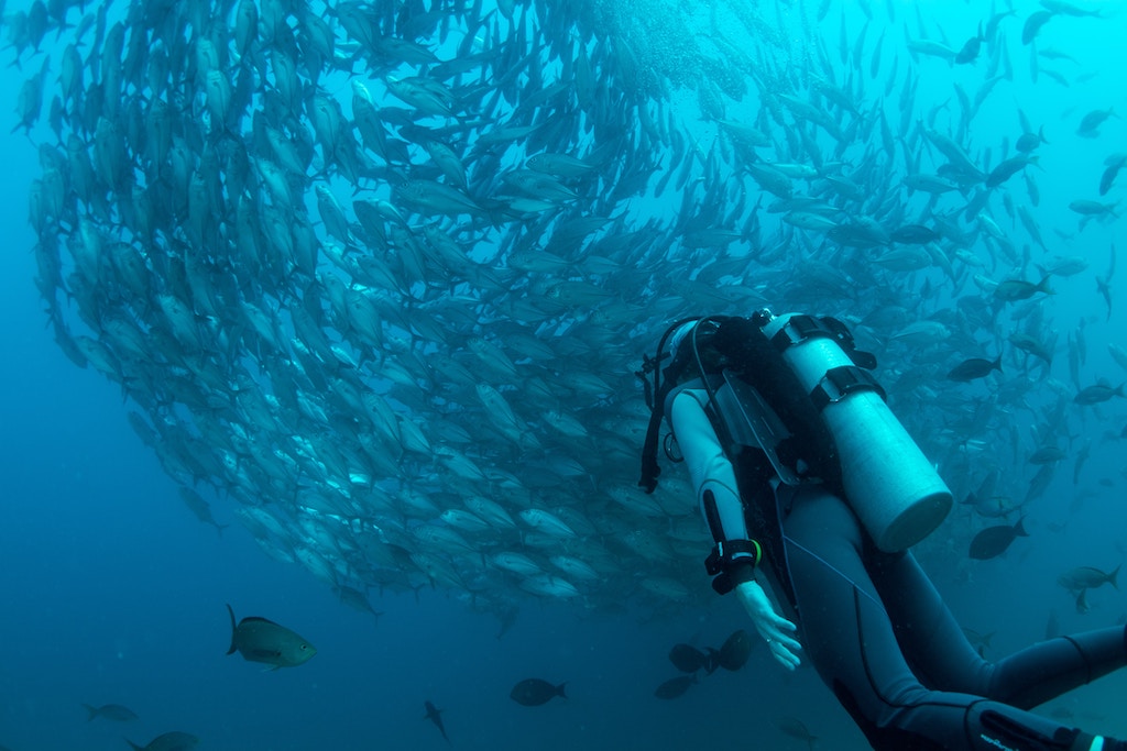 Scuba diving
