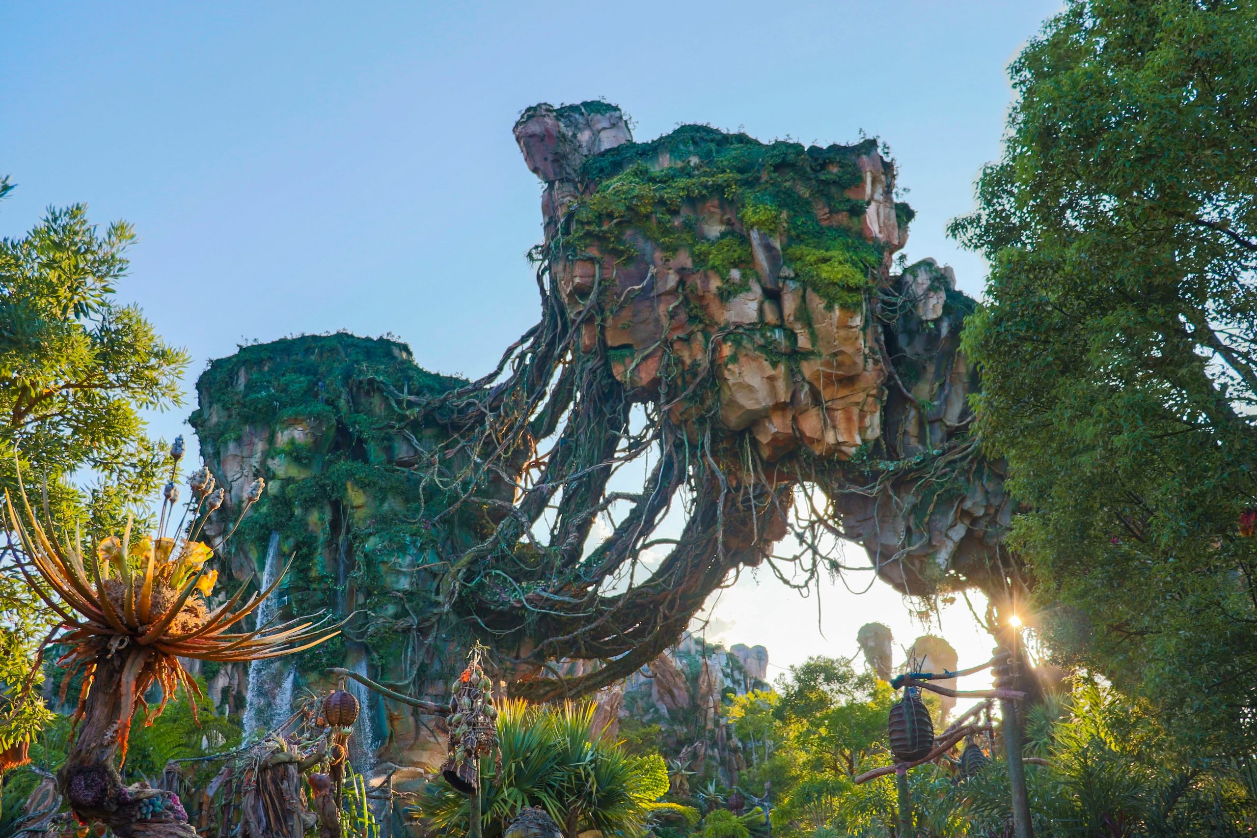 Pandora, Walt Disney World, Animal Kingdom