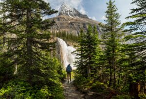 Glacier National Park Montana